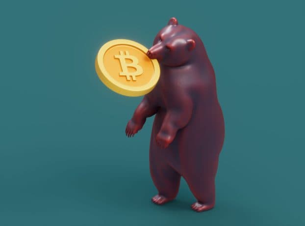 Eine Bärenfigur steht aufrecht und hält eine goldene Bitcoin-Münze zwischen den Zähnen.
